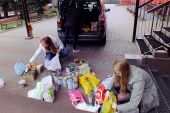 Zbiórka dla schroniska dla psów 6